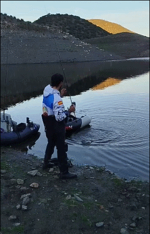 难以置信狐狸抢走了他的鱼 ​​​