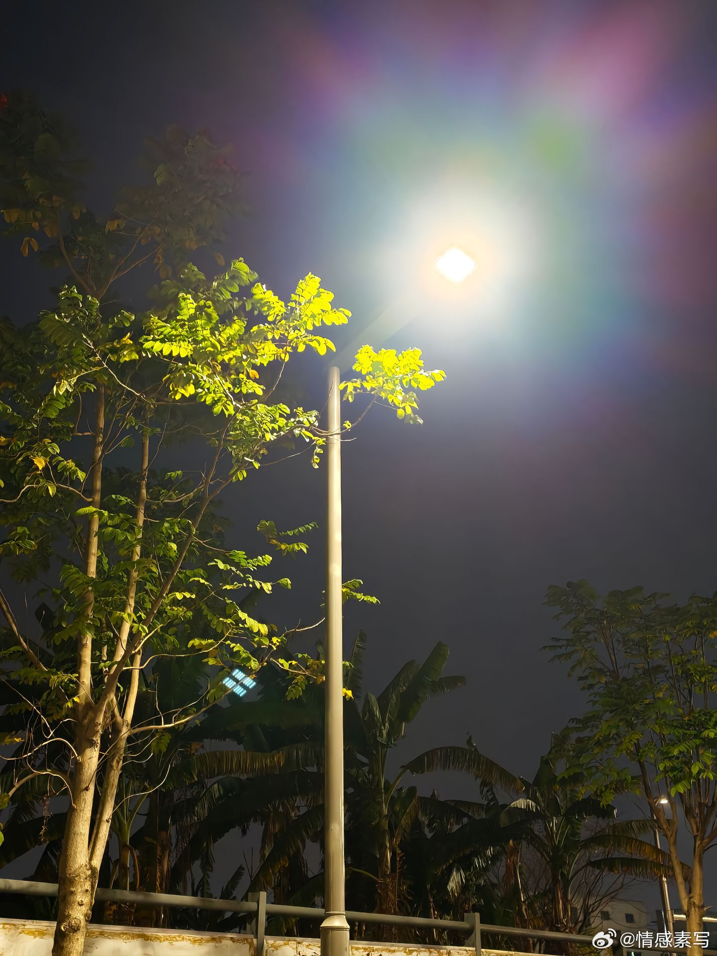 随手拍往后，就做个安静的人吧！                         