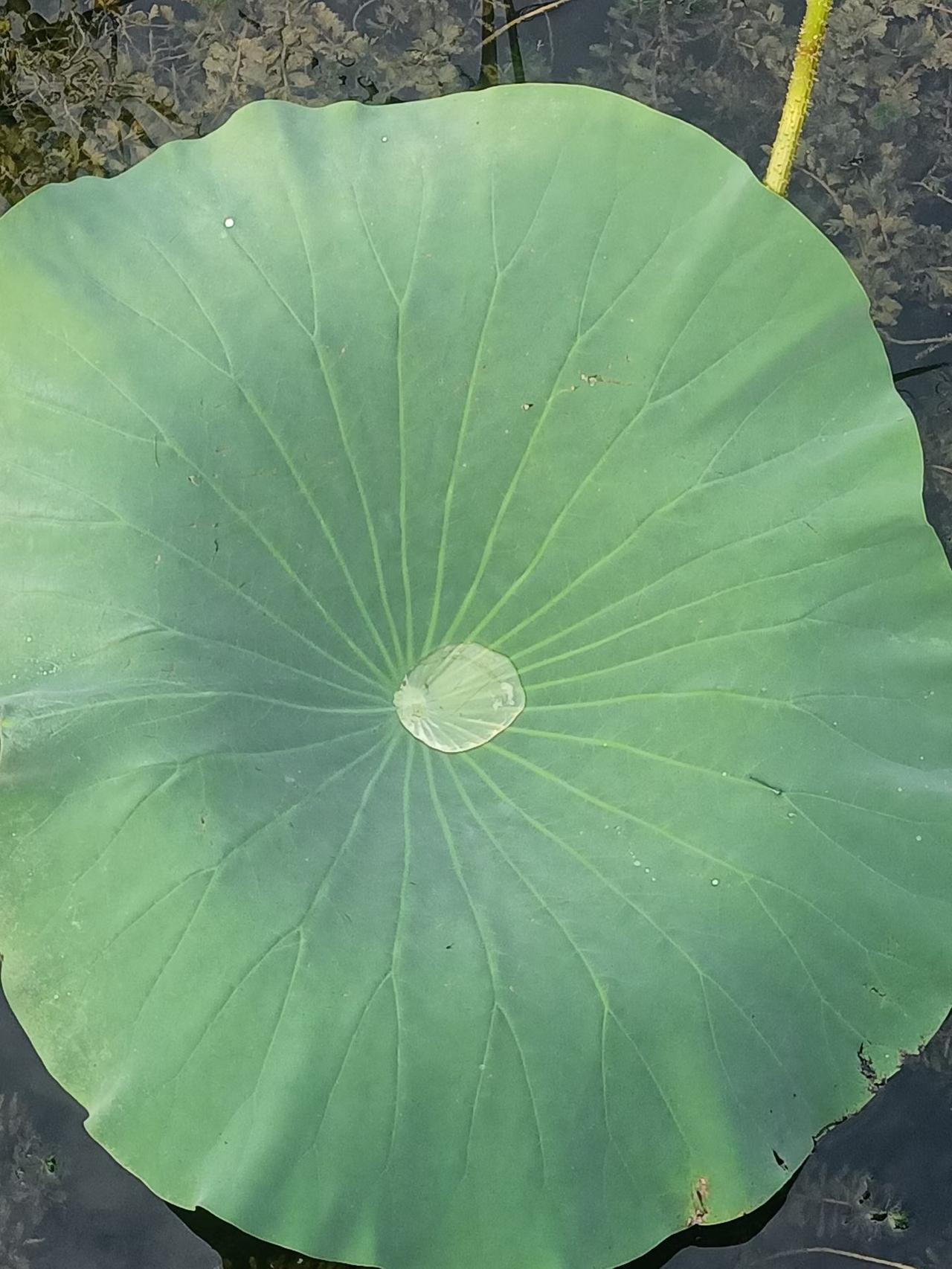 中午，接到在张某口银行工作的朋友的微信消息：姐，最近有个长期存款挺合适的，年息能