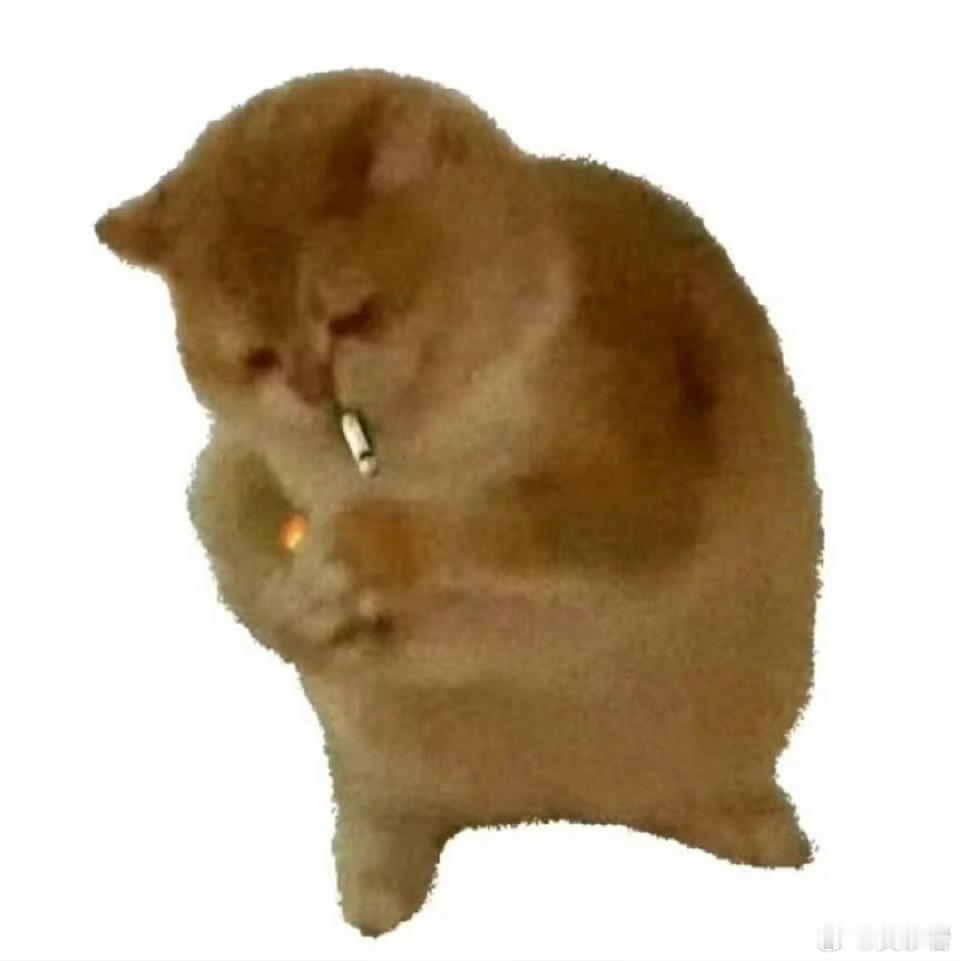 好讨厌面试  ​​​