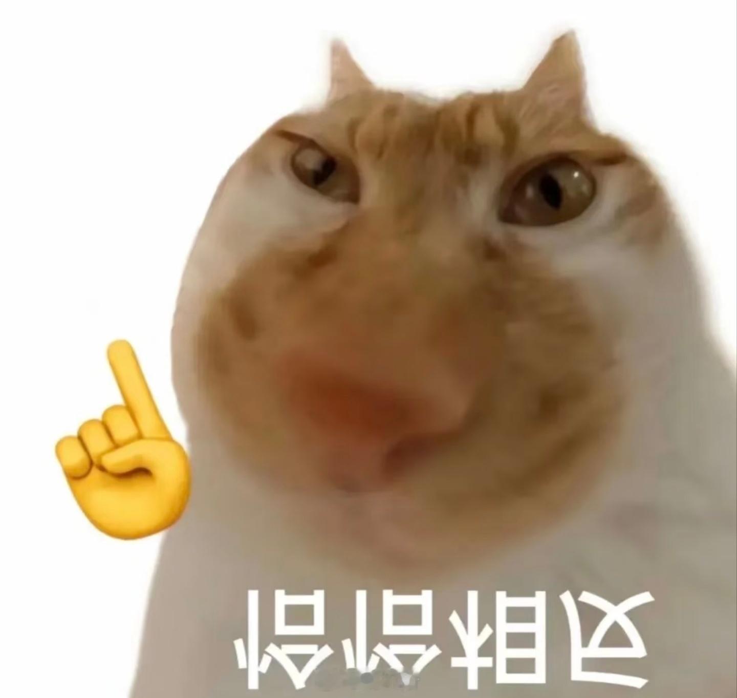 一大批年轻人开始反向过年恰恰相反，反向过年可以避开人流高峰期而且去热门景点也不会