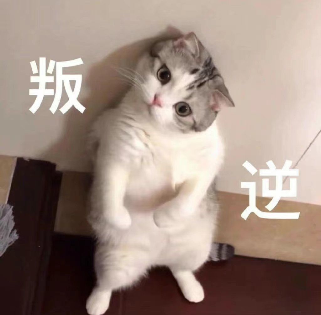 #在划一种很新的水# 工作与放松，原来可以如此和谐共存。试试看吧，你会喜欢的！?