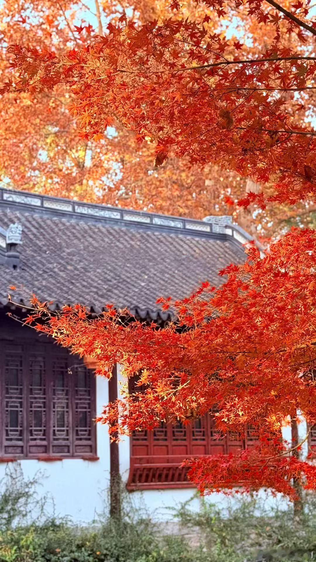 2025年11月19日英伟达与马斯克旗下的 XAI 共同宣布，沙特阿拉伯的 H 