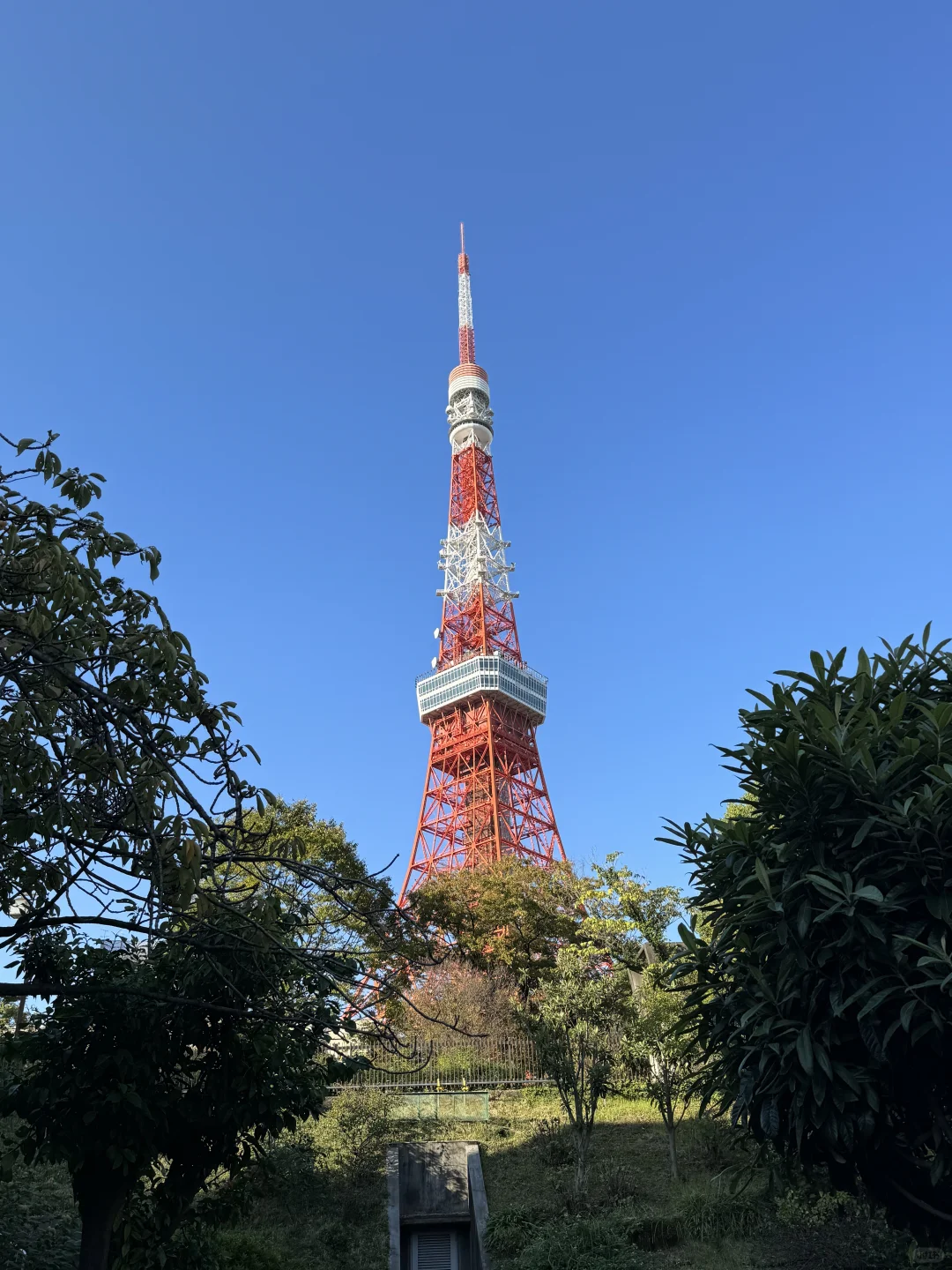 🇯🇵东京塔白天拍照攻略（路线图不走回头路
