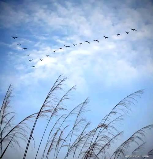 上联“云随雁影归天际”写高空之景，云伴雁飞，归向天边，意境苍茫悠远，寄托漂泊与思