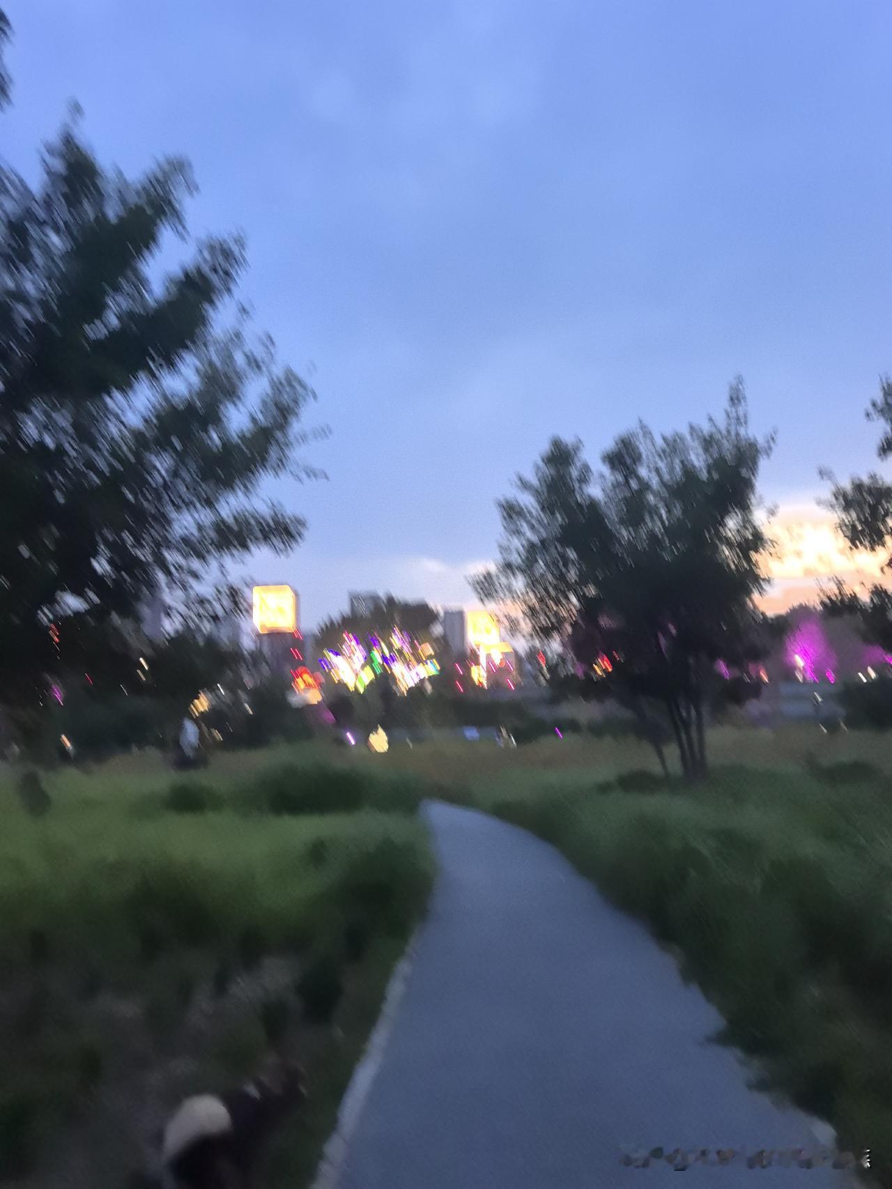 夏日生活打卡季通往幸福的路