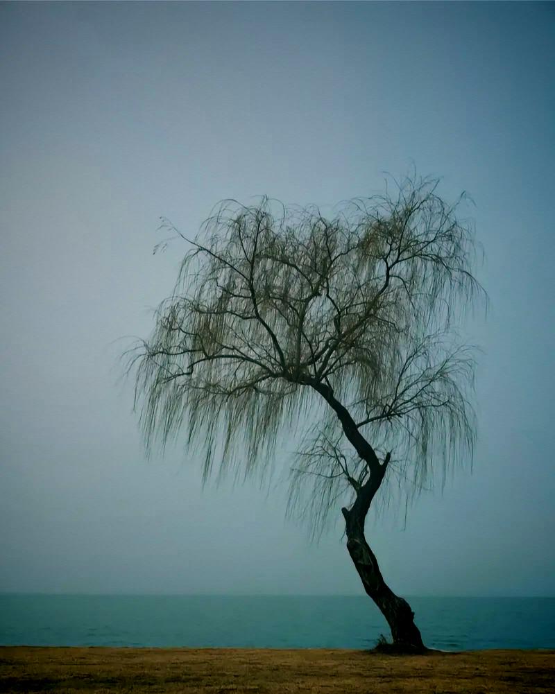 不计代价地帮助一个人的尽头，大概率是在培养一个仇人甚至敌人。成年人的世...