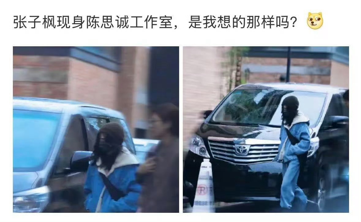 估计唐探4要来了。张子枫现身陈思诚工作室