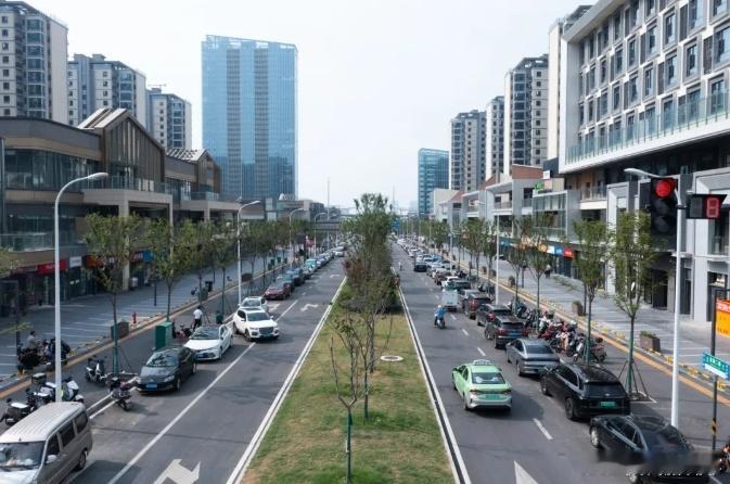 【#合肥高新区这两条道路正式放行#】近日，合肥高新区龙湖CBD内部支路规一路(石