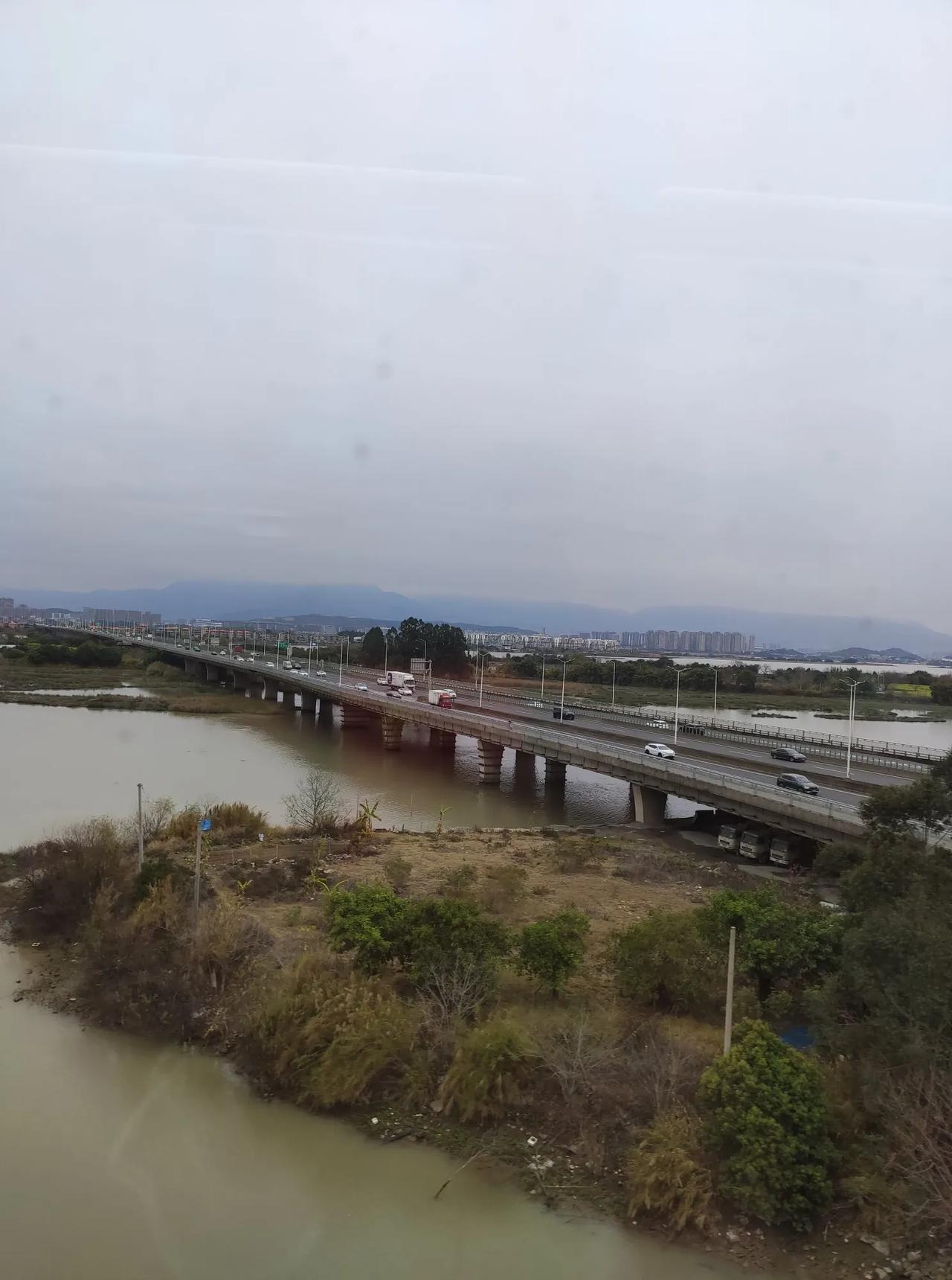 趁着清明的好时节，我打算学着嫁接两棵荔枝树，把品种优良的苗嫁接到不会结果的树枝上