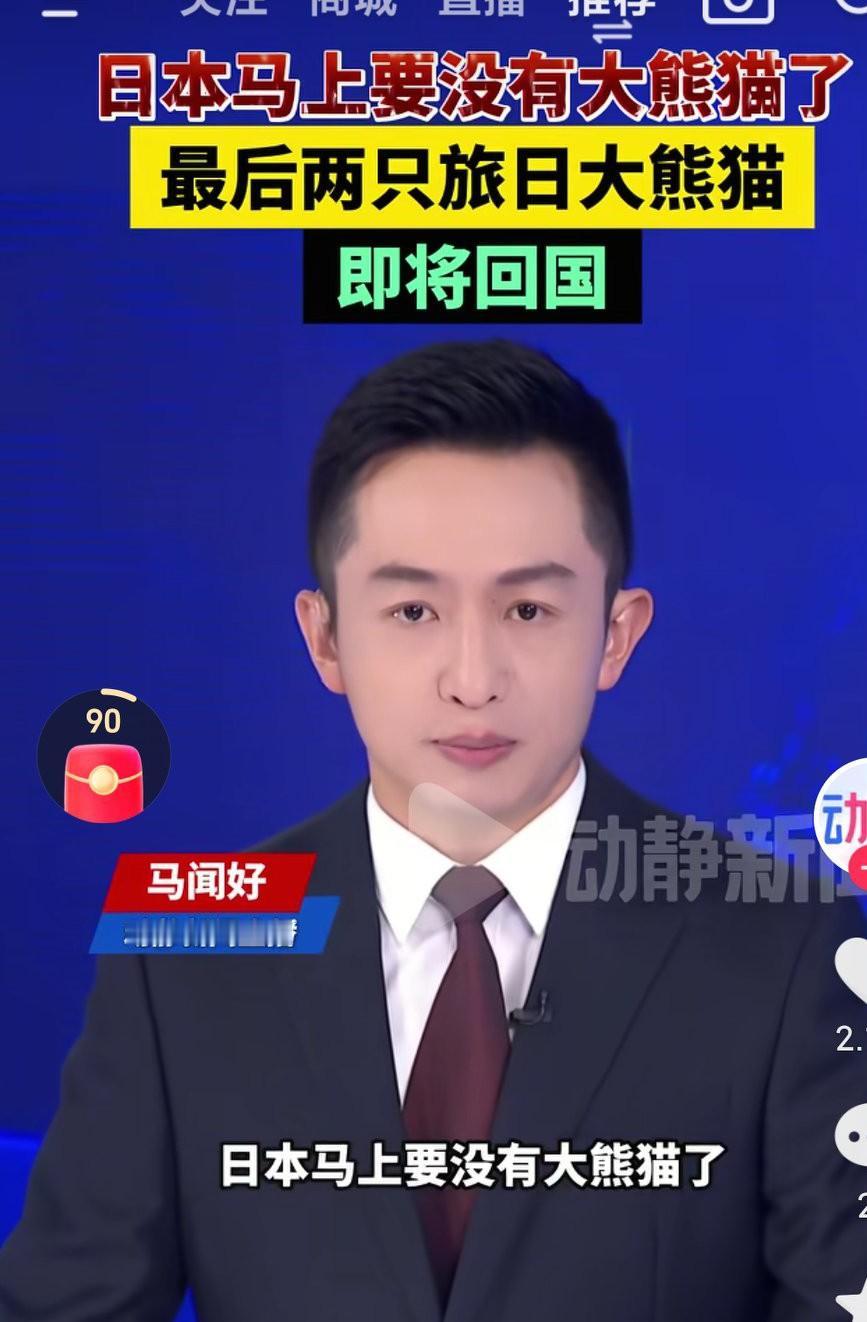 日本没有大熊猫可以观看，这绝对是日本咎由自取啊，日本这样错下去，只会让日本灭亡啊