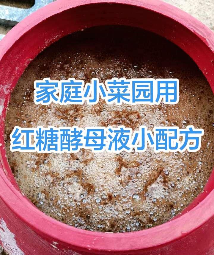 红糖是微生物的粮食，你知道是为什么吗？因为酵母是一种真菌有益微生物，在土壤中、水
