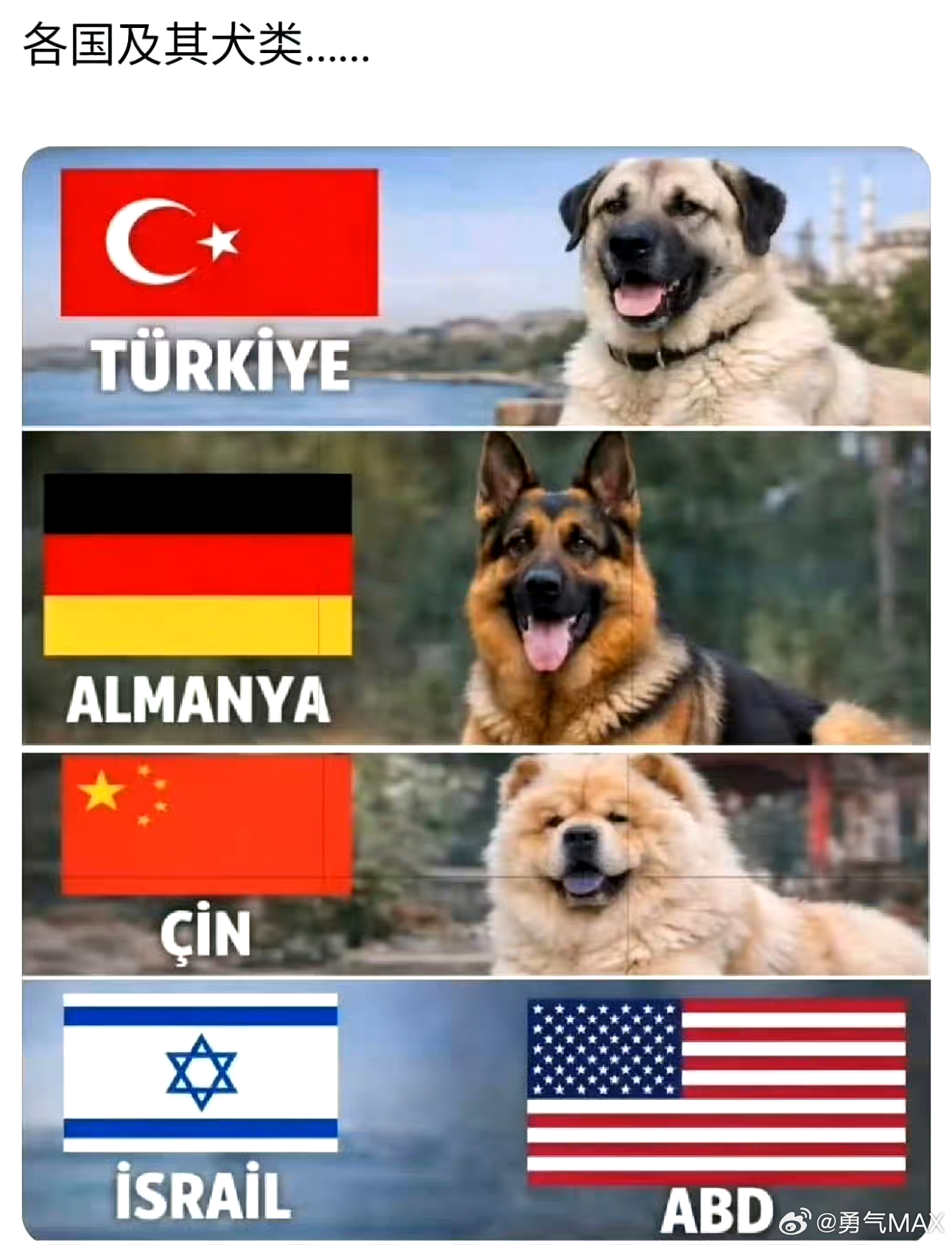 美媒称这场战争打不起了 打不起还要打莫非是主人的任务？ 