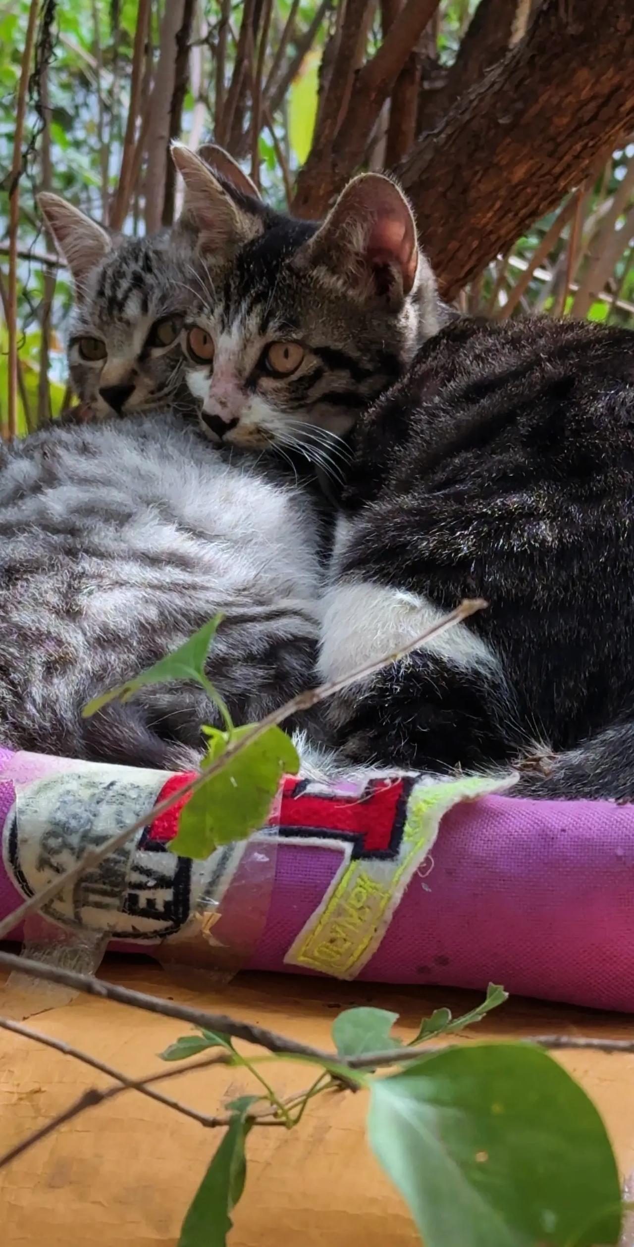 一个人。