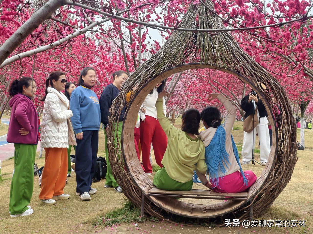 到美丽的桃花源去玩，桃花盛开，处处美景，这是一喜；志同道合的朋友一起赏美景同欢喜