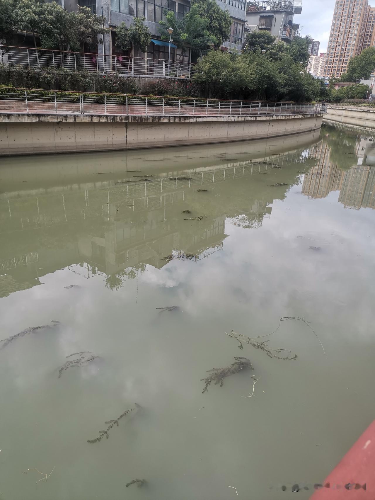 那得看具体情况喽！如果，你不是刚需，不买房对家庭和生活没有影响的话可以考虑租房。