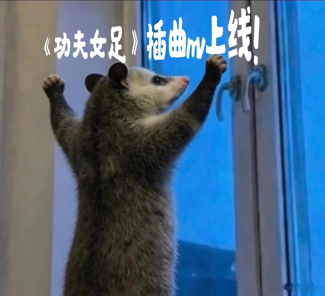 功夫女足插曲MV高燃上线功夫女足从电影到插曲都燃爆了功夫女足插曲MV直接燃到起鸡