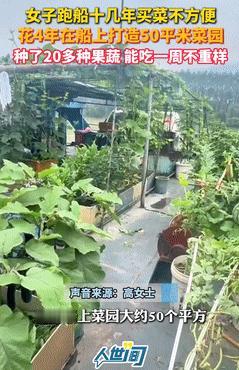 “彻底解释不清了！”女子跑船吃不到新鲜蔬菜，竟在船上打造一个50㎡菜园！如今不仅