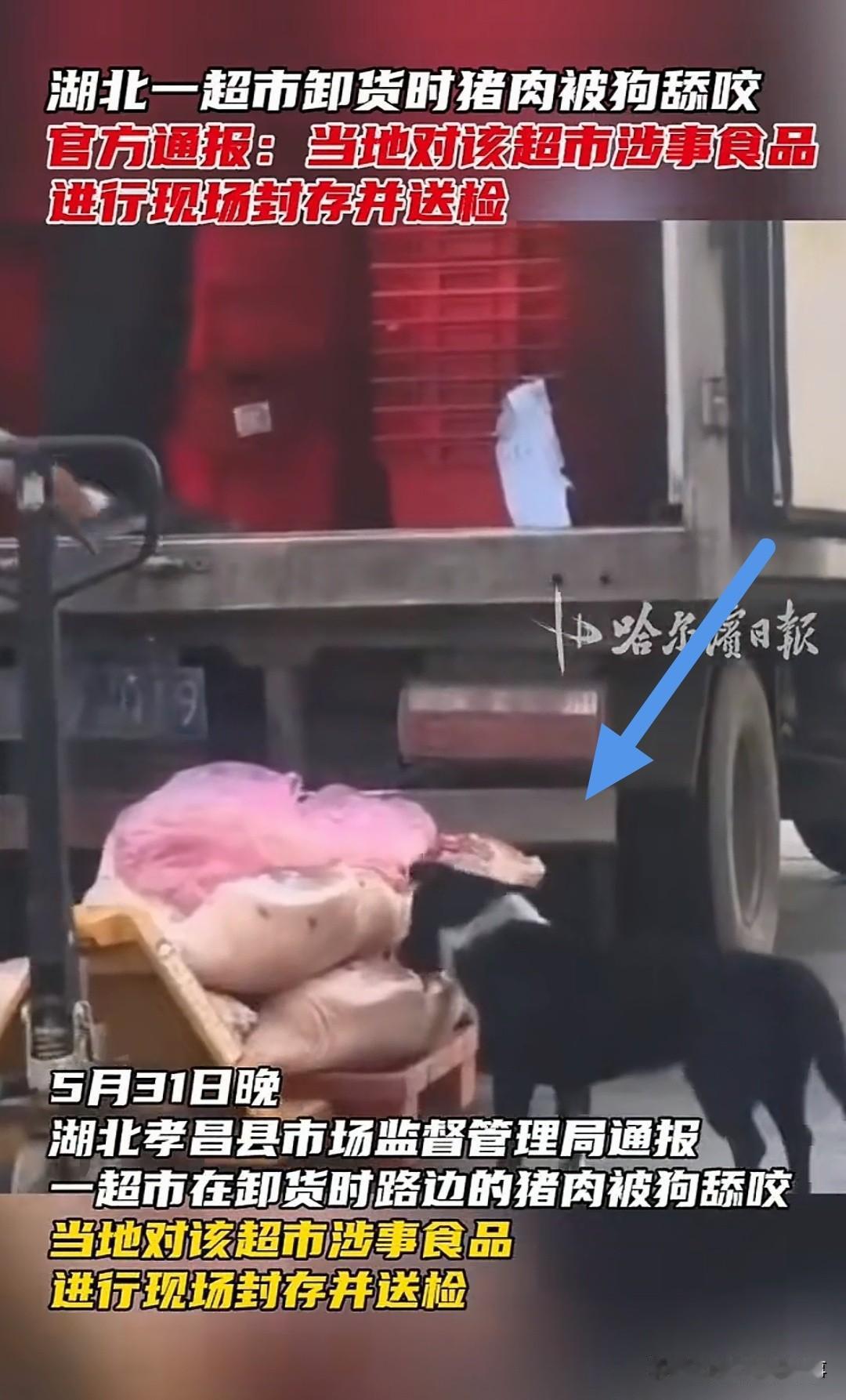 湖北孝昌，一超市门口正卸着新鲜猪肉，没想到一条黑狗突然窜上板枕，不慌不忙地啃着板
