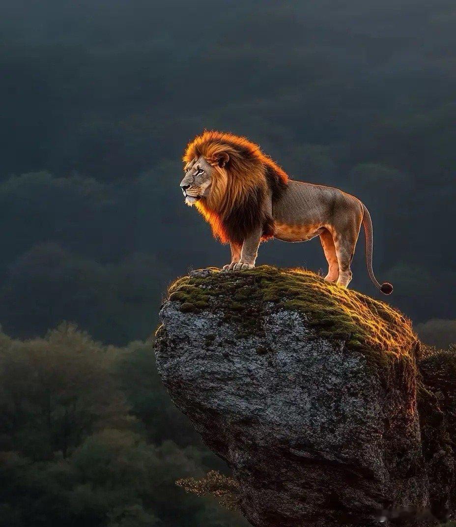 真正牛逼的人只做三件事：第一：钻研赚钱门路第二：坚持锻炼身体第三：独自沉淀学习日