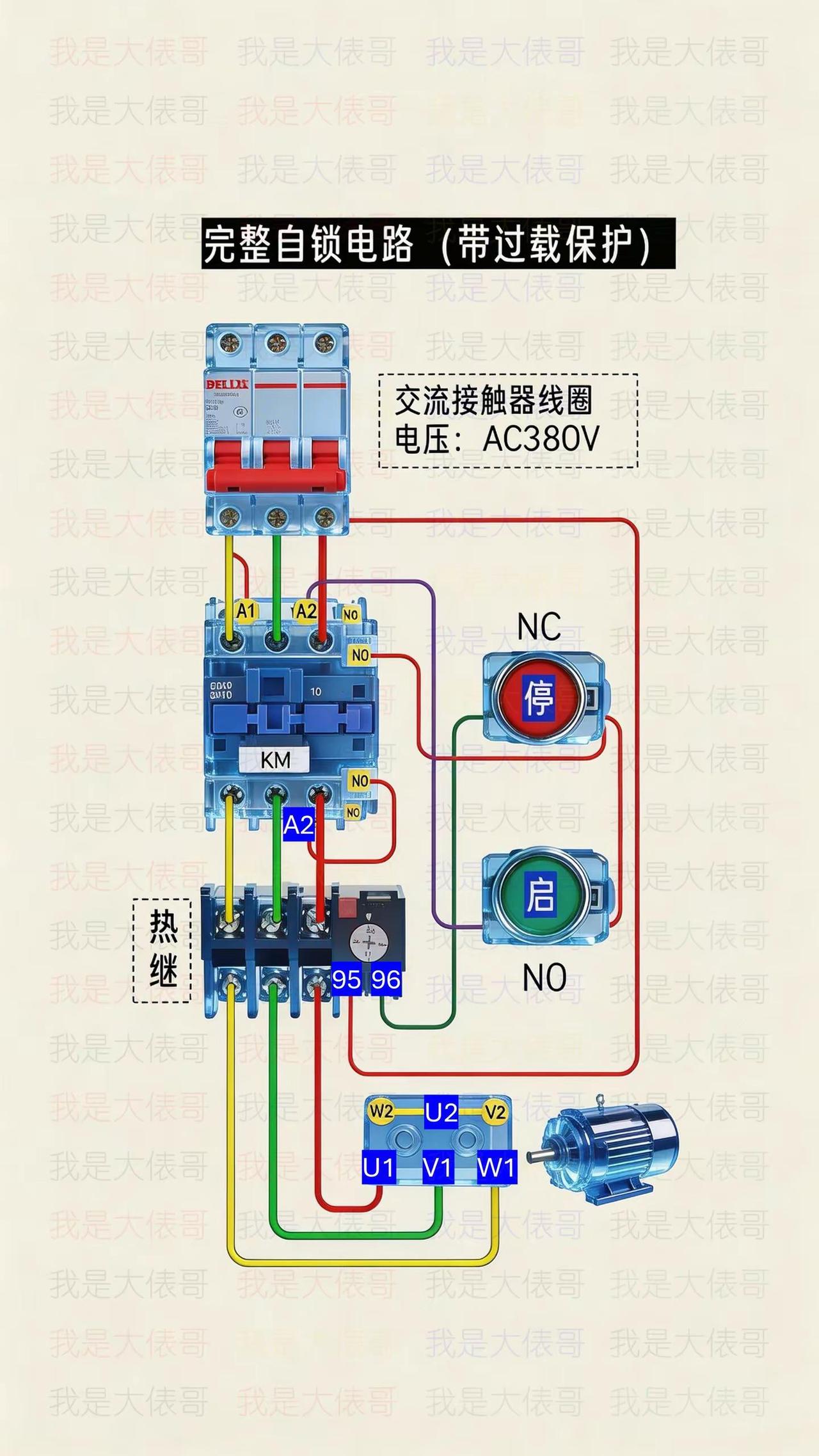 完整的自锁电路实物接线，带热过载保护。零基础学电工 电工知识 电工接线 电工教学