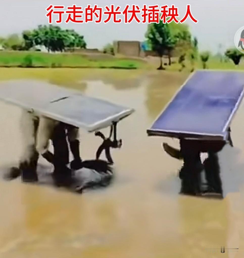 【就问你服不服吧】
太太热，要插秧，咋办？
图片中的那两块“板”可不是门板，而是