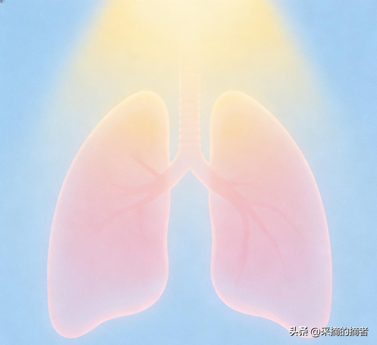 真的越看越心痛！
今天刷到三条消息全是肺部问题，看得心里特别难受。瞬间破防了…