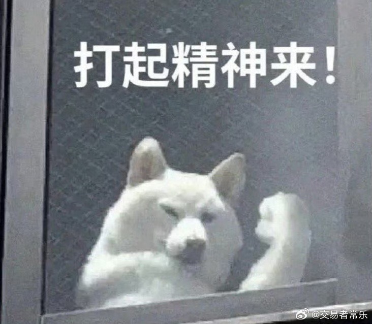 周末选了两支AI应用，准备周一买一支。开盘一支高开7%，一支平开。因为恐高我很高