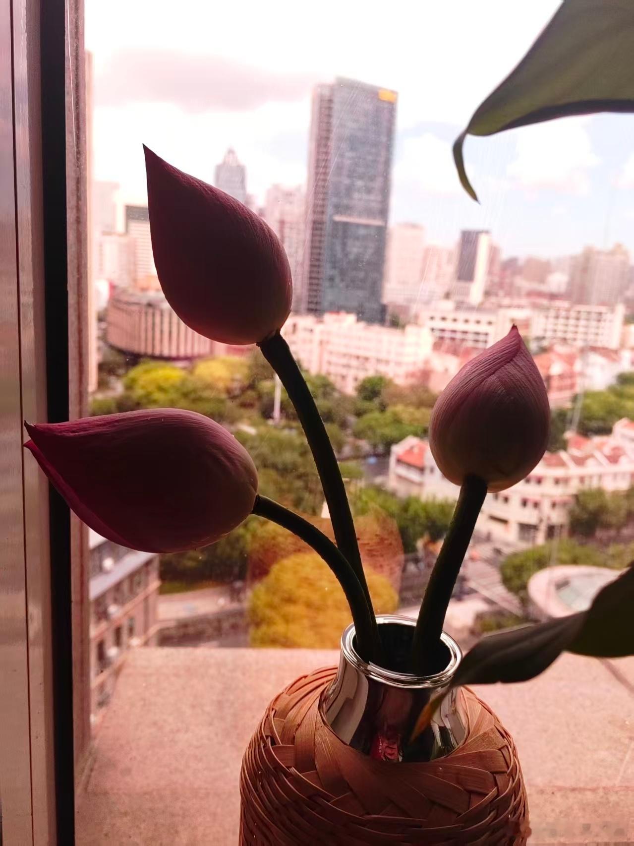热水瓶坏了，不如当花瓶用吧在办公室换换心情。心情好心情办公室小野 上海·浦江饭店