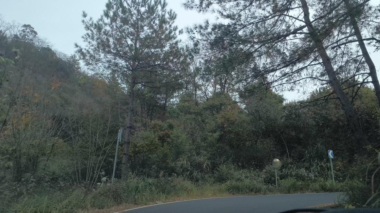 车行皖南川藏线，急弯路段视线不佳，示廓灯全开启，提心吊胆仍遇车队，果断靠边礼让。