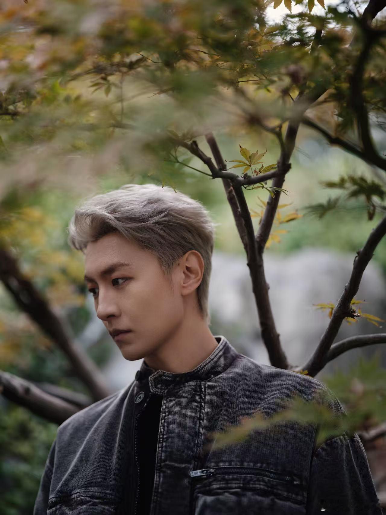 王青音乐节 银发王青适配度满分！复古牛仔装搭清冷气质，庭院红灯笼、林间枝叶作衬，