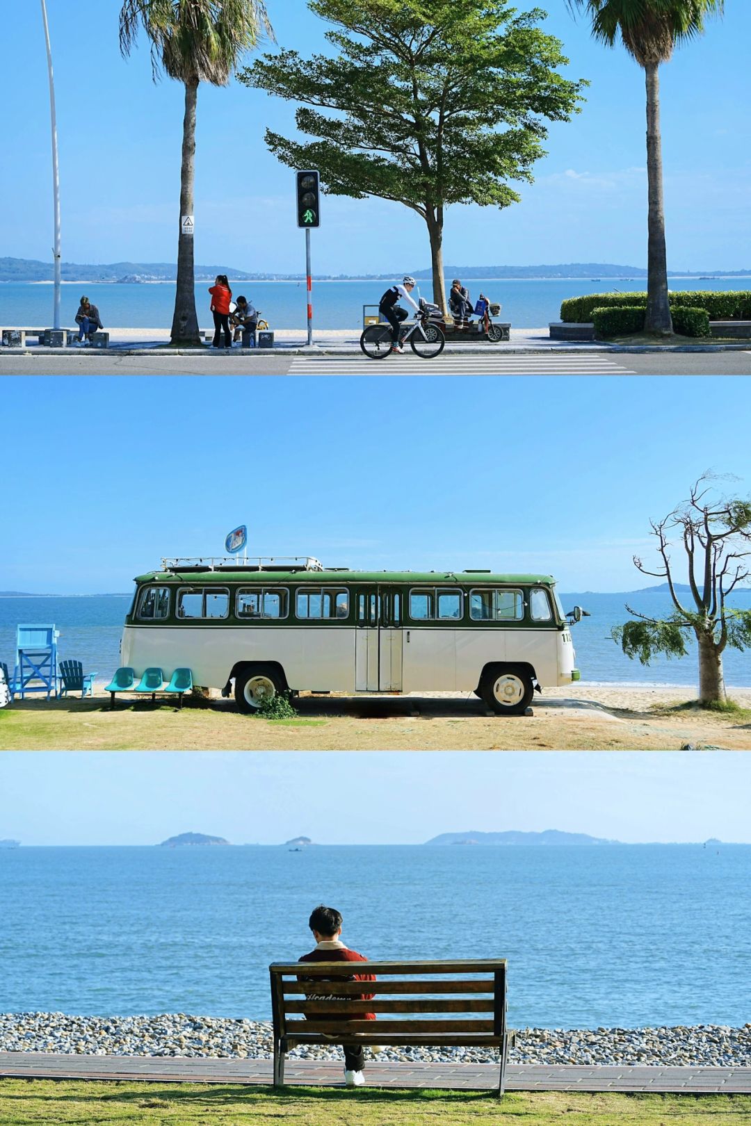 跟着公交去旅行🌊厦门不可错过的1元环海bus