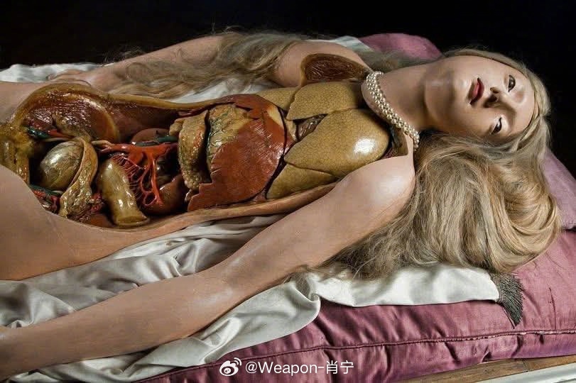 兵器影像 这些被称为“解剖维纳斯”的奇特蜡像，由雕塑家克莱门特·苏西尼于公元18