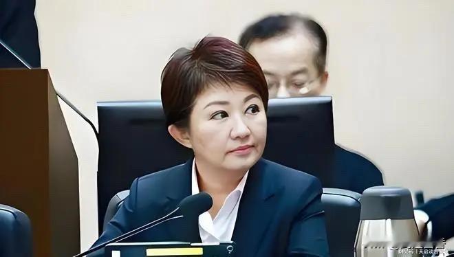 这个女人和“台独”分子有何区别？卢秀燕在接受媒体采访时说：不管中美谈的如何，我们