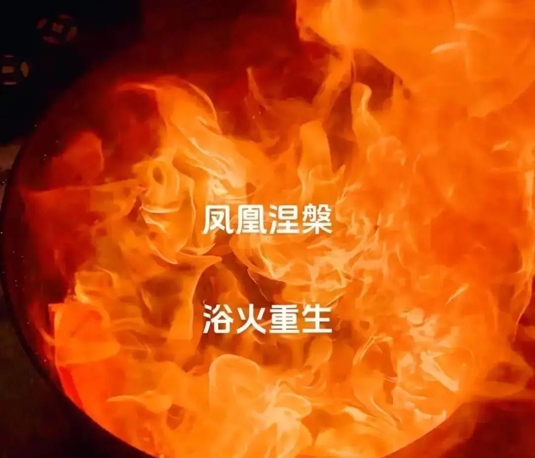 刷到一条说白羊双鱼狮子天秤元月集体走大运，我瞄了眼日历，敢情我朋友圈那几位突然晒