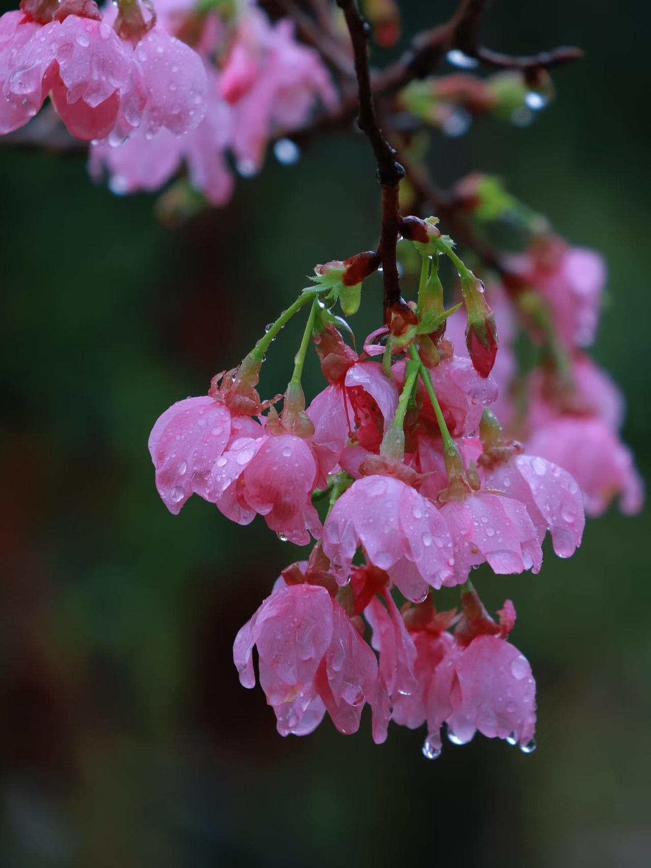 喜欢一个人和爱一个人是一样的吗? 请用一句来形容婆媳关系 能送给我一句处在低谷期