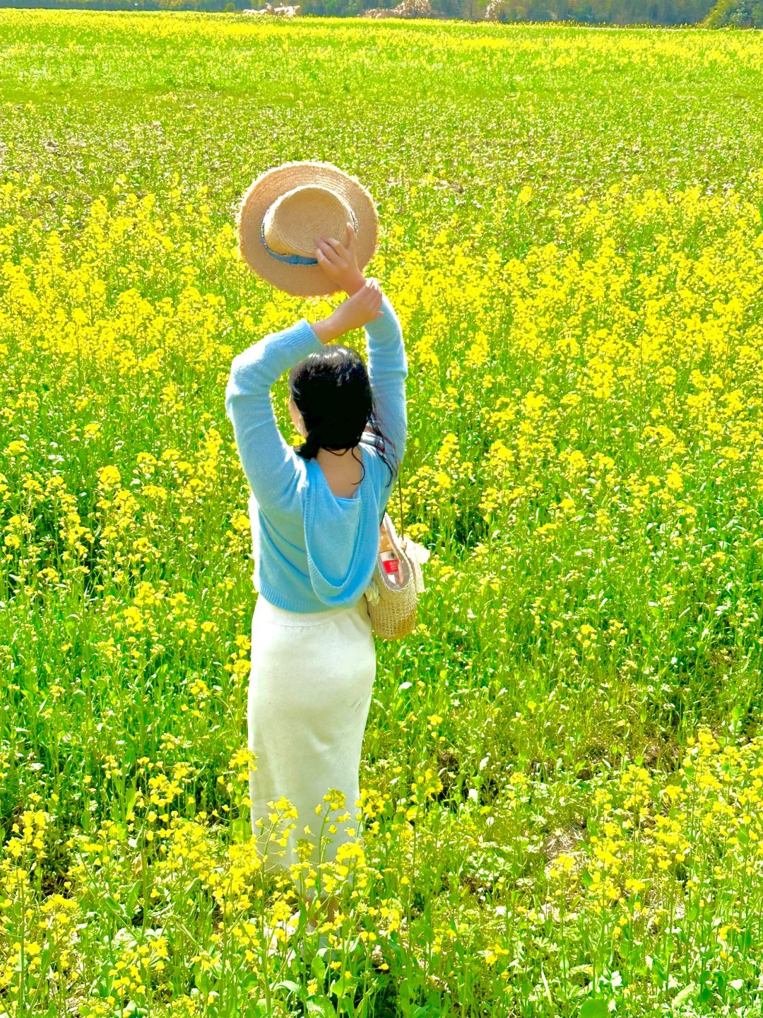 美到窒息！良渚遗址公园全是油菜花！免费去玩