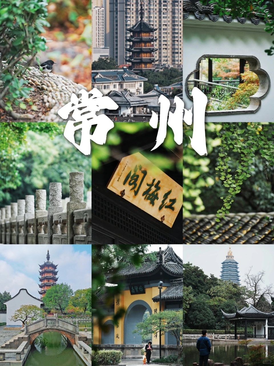你一句真江南，我便远赴千里来常州