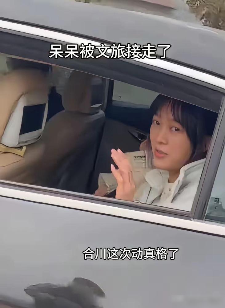 我问领导，为啥呆呆被文旅部门接走了。

领导说现在不接不行了，江西那边模仿的杀猪