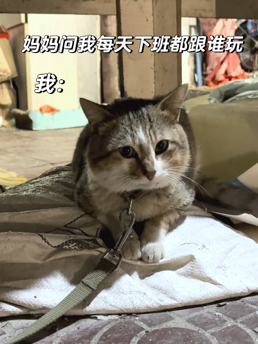 妈妈问我每天下班都跟谁玩