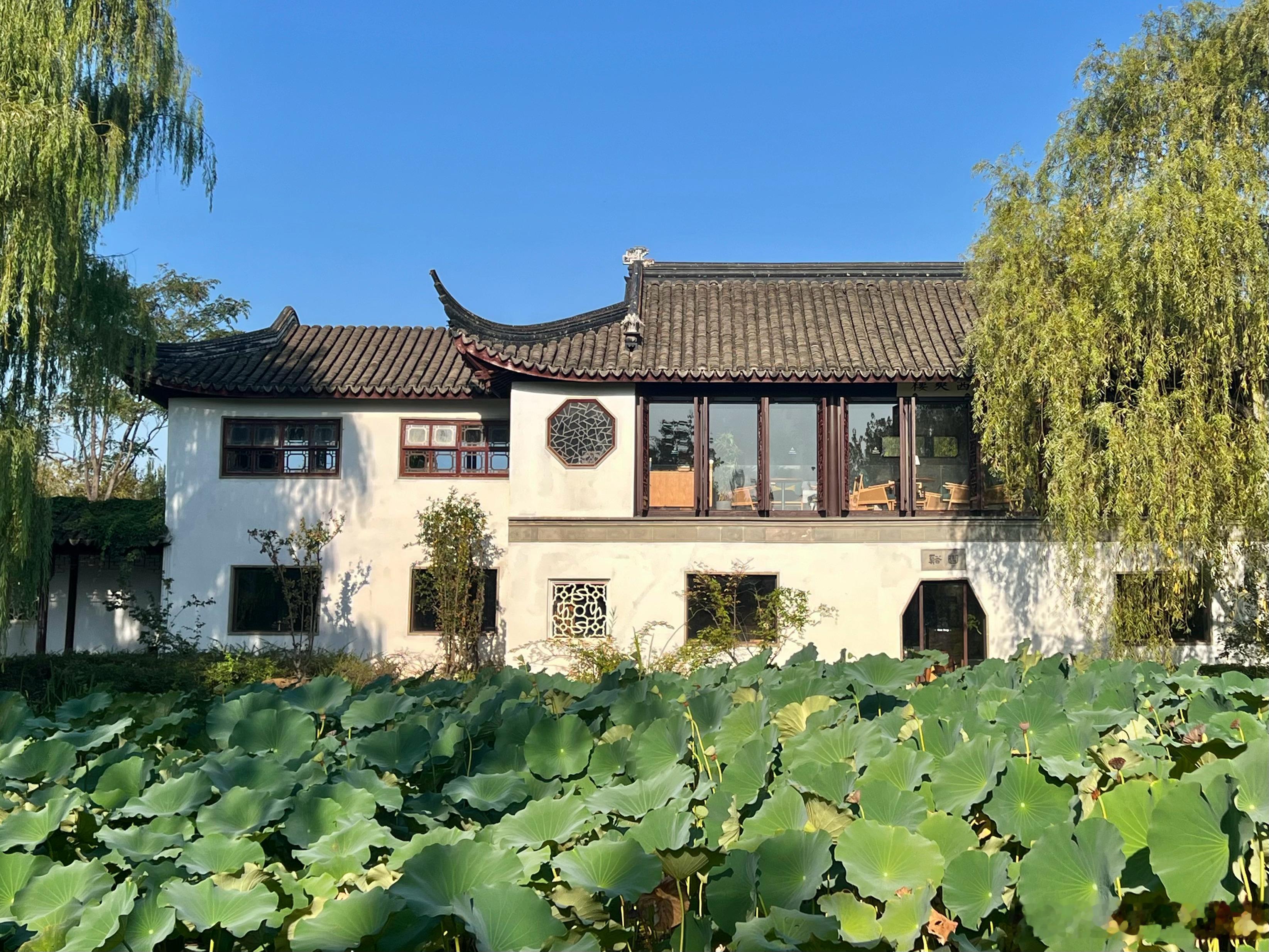 园博园 忆江南摄影