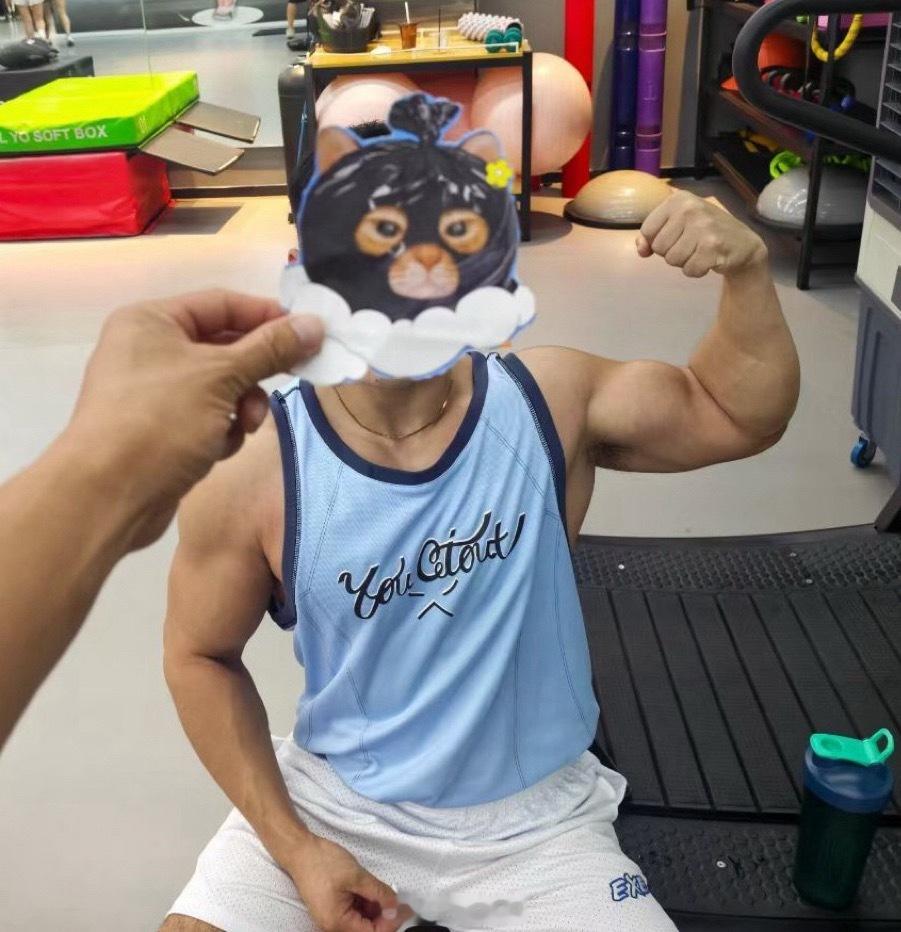 偷心猫猫大作战 ​​​