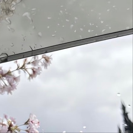 0000不经历风雨的如何能见到彩虹，但有时经历风雨后依然见不到彩虹。那就是面对一