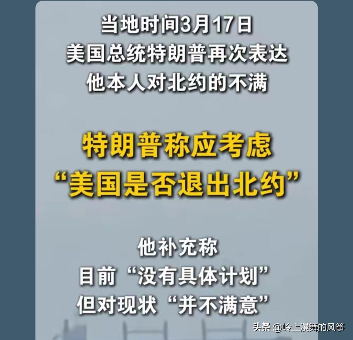 司机说：不是老大你退出北约，北约不就名存实亡要解散了吗？我这四年和毛熊仗不是打了