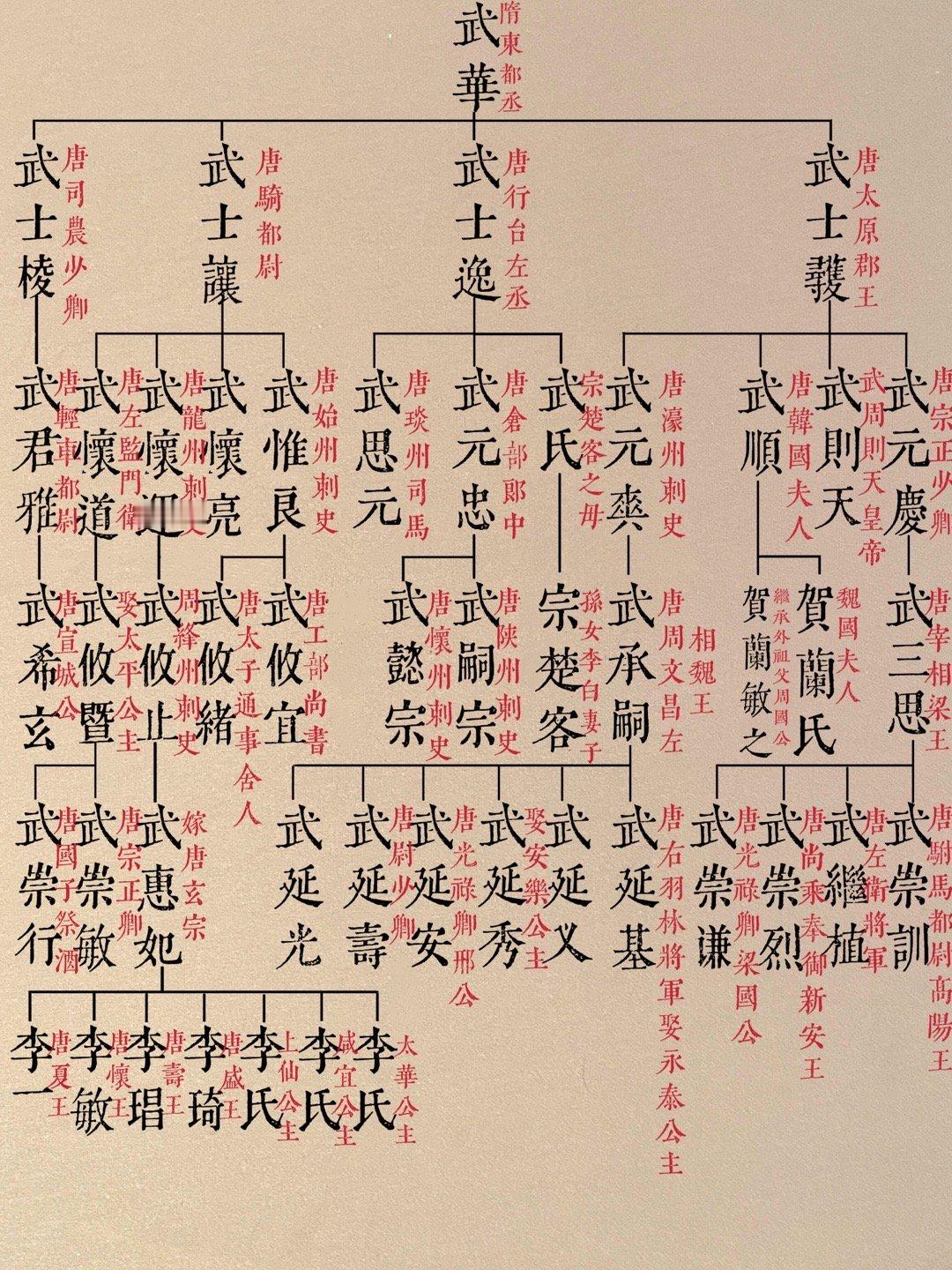 李唐乱不乱，武家说了算🔍 