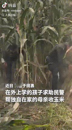 人民日报怒赞！一名学生在公安局视频号下求助，因为家里只有妈妈一个人，有3亩地，能