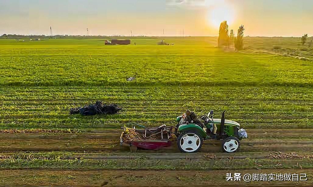 厉害了！榆林“菜篮子”大丰收！产量超144万吨！
 
家人们，榆林蔬菜又交出亮眼