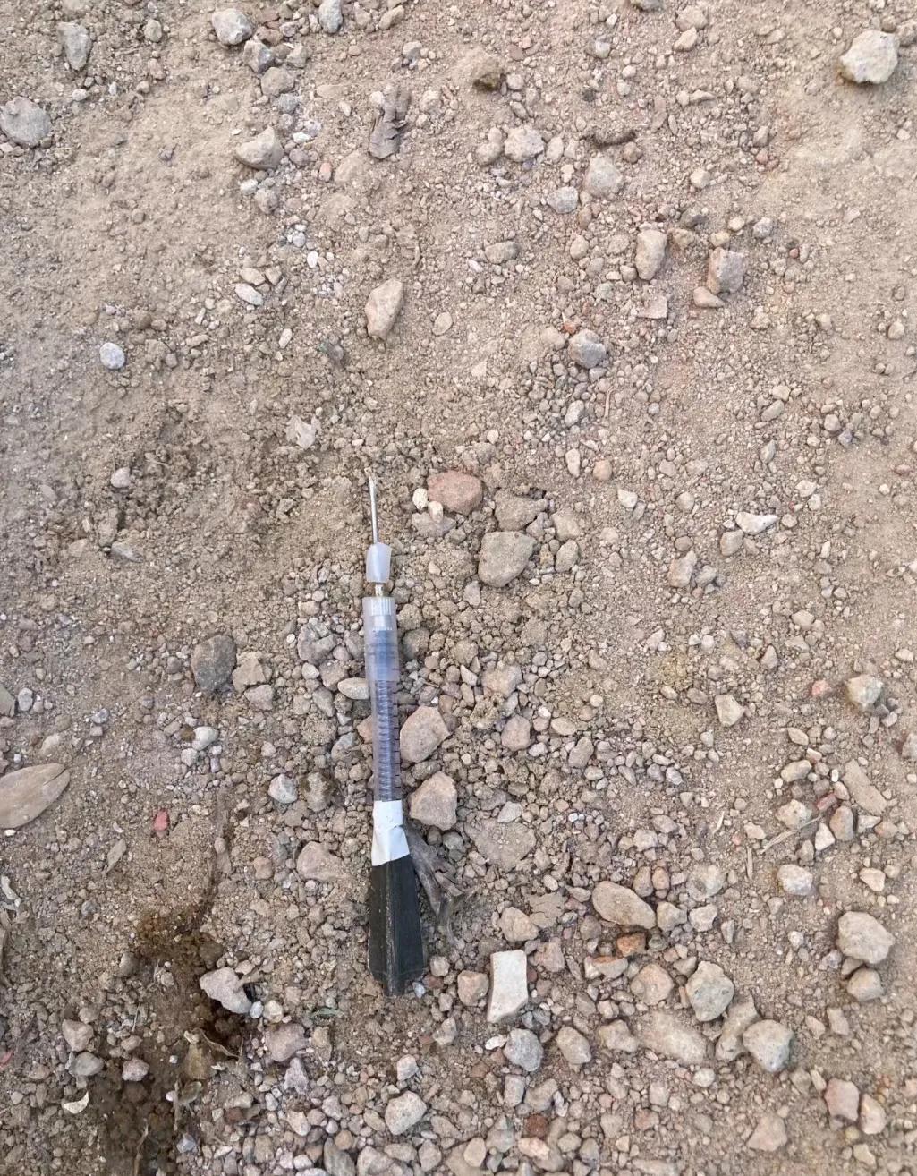 之前在地里发现过这种带针头的飞镖，当时不知道是什么，后面从邻居家的狗子身上拔下来