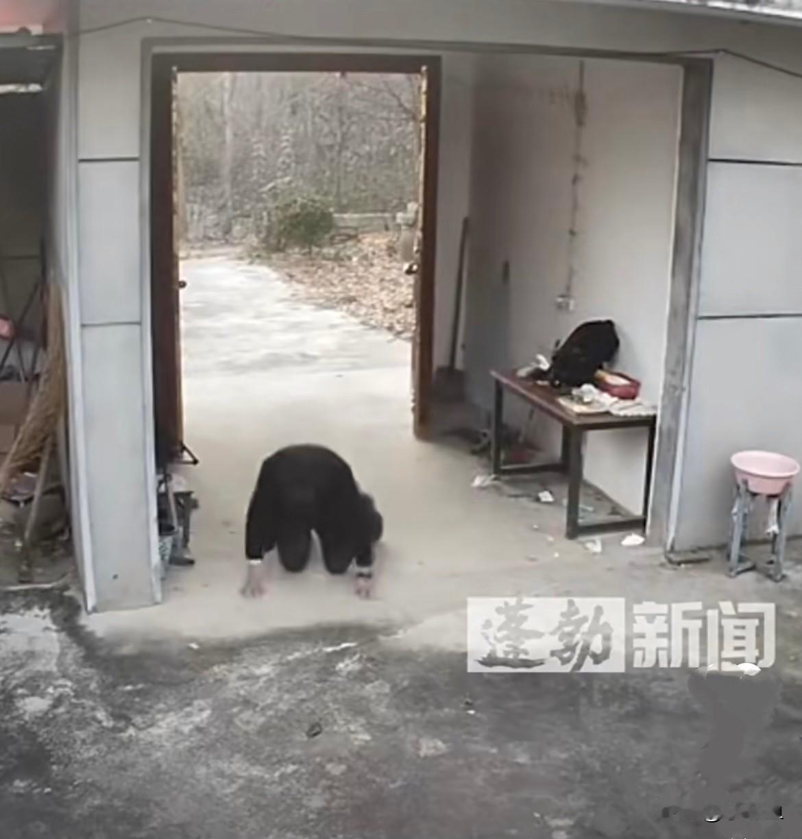 看了一个视频很伤感，场面凄凉，令人动容，也触动了我的心…..
      近日江