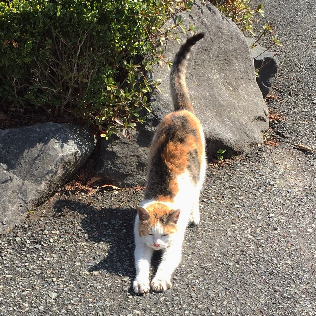 自信不够，才会不断向旁人证明自己有多行。自由自在，松弛神经，不要被世俗牵着鼻子走